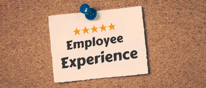 6 Best Employee Experience Platforms in 2023 - Pickcel