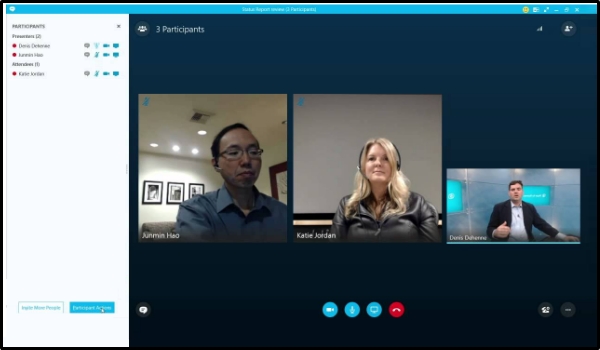 skype video conferencing software interface showing 3 participants in a webinar
